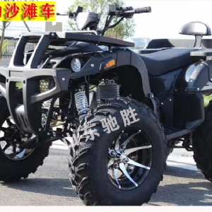 雪地摩托卡丁車(chē)