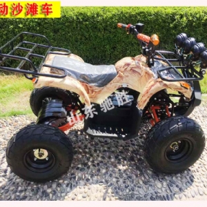 雪地摩托卡丁車(chē)