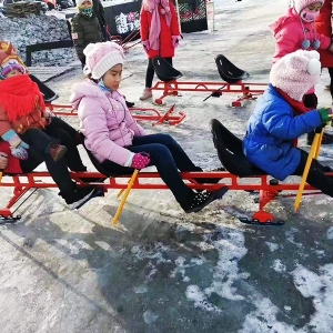 滑雪車(chē)